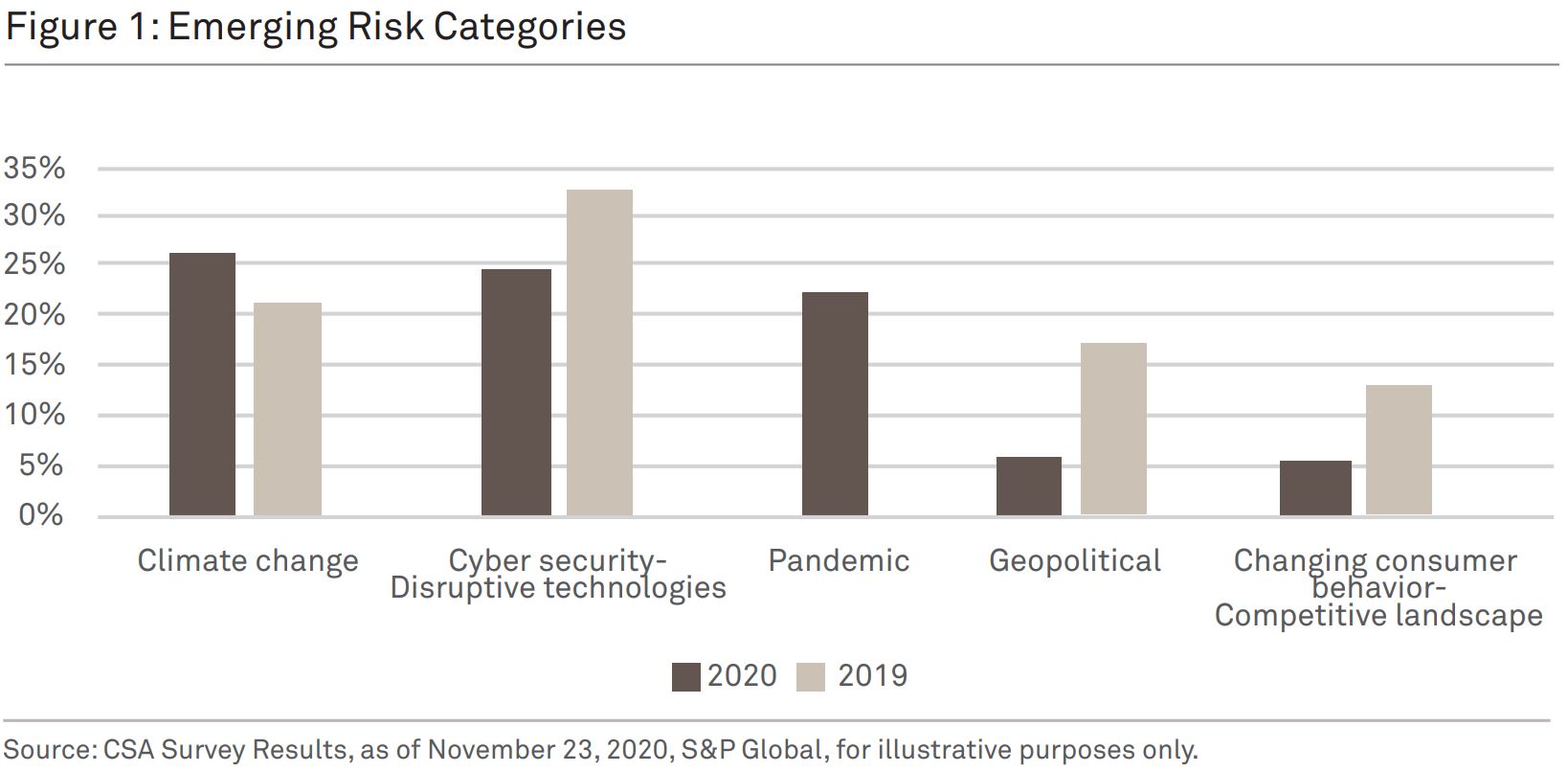 Figure 1: Emerging Risk Categories