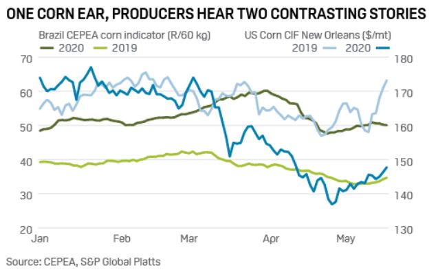 One Corn Ear, Producers Hear Two Contrasting Stories