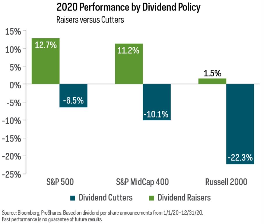 2020 Performance by Dividend Policy