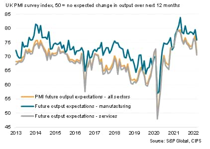 Future output expectations