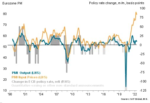 Eurozone PMI output and input cost inflation charted against ECB policy decisions