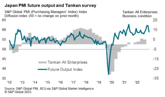 Japan PMI future output and Tankan survey