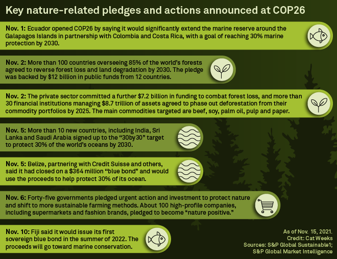 Cop26: 5 Key Takeaways From S&p Global Sustainable1 