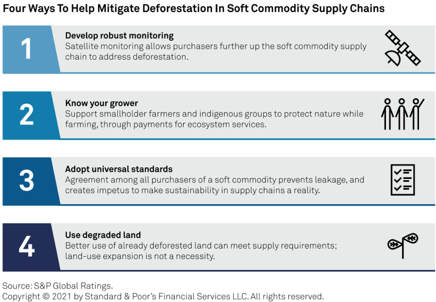 Four ways to help mitigate deforestation in soft commodity supply chains