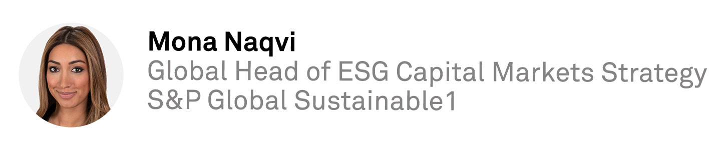 Greenwash Or Hogwash? Defense Against The Criticisms Of Sustainable ...