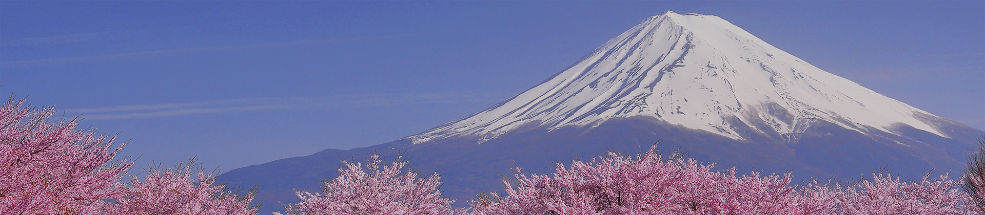 15th Annual Japan ETF Conference