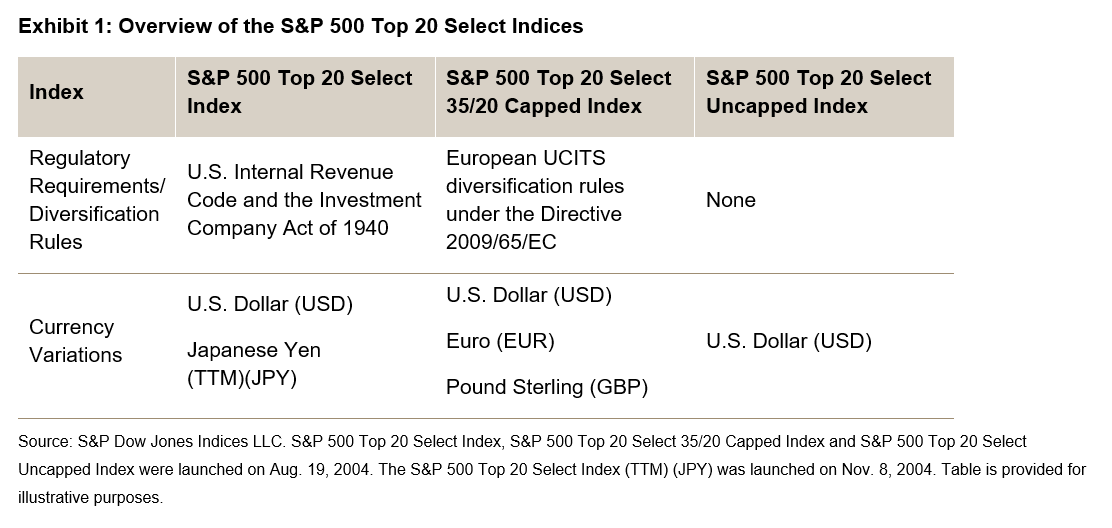 S&P 500 Top 20 Select Indices 소개: Exhibit 1