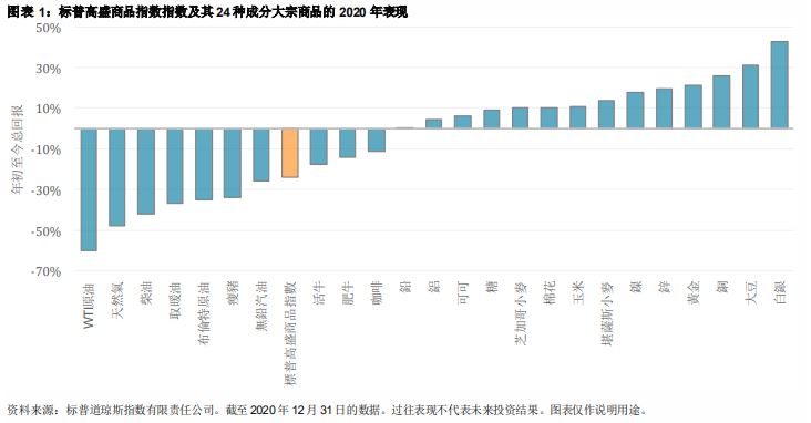 2020 年全球大宗商品宏观回顾: 图表 1